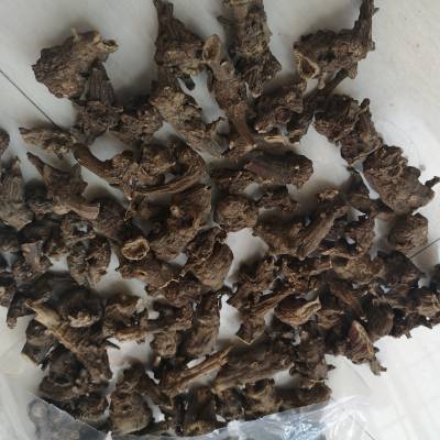 乌头药用用法及用量 五毒根药用有什么药效