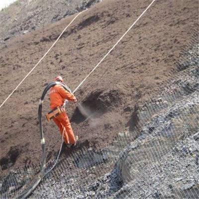 客土喷播挂网菱形勾花网活络铁丝网