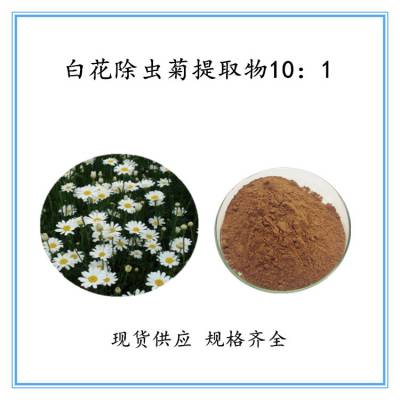 白花除虫菊提取物10 1 除虫菊素菊脂粉末萃取原料提取食品级 喷雾干燥固体饮料价格 中国供应商