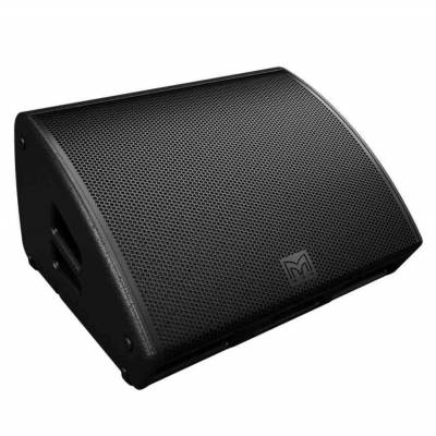 玛田martinaudioxe50015寸同轴返听音箱报价