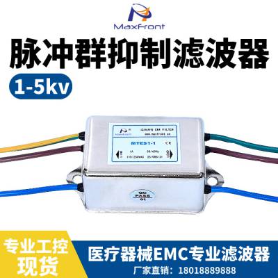 医疗检测所推荐1-5kv脉冲群抑制器220V电源滤波器MTES1-1A
