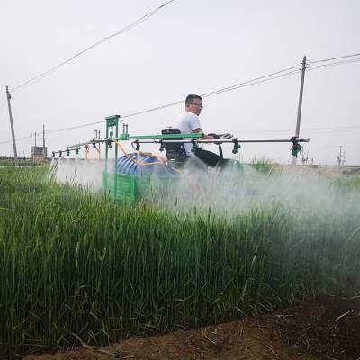 小麦自走式打药机 菜园灭虫喷洒机 果园杀虫喷药车志成