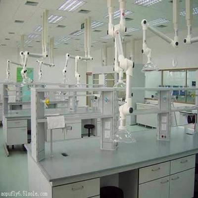 厂家直销 实验室吸收罩不锈钢原子吸收罩原子抽气罩吸风吸气罩排气罩
