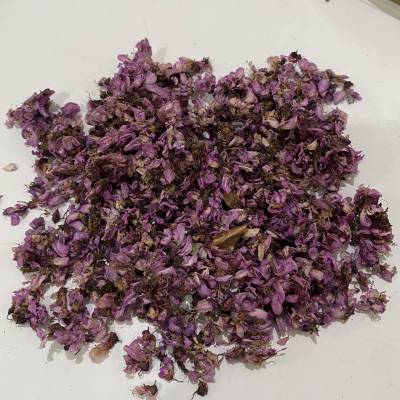 中药材紫荆花-紫荆花药材实物实拍