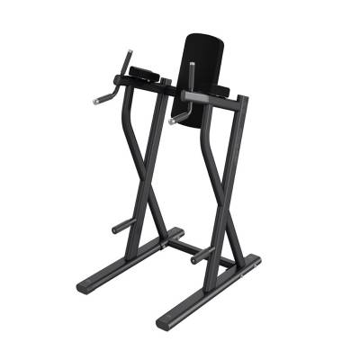lifefitness美国力健双杠提腿收腹训练器进口家用力量健身器材
