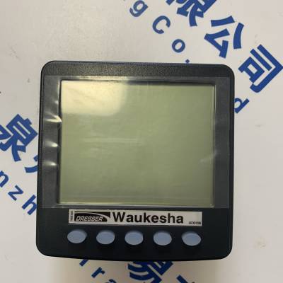 WAUKESHA VHP P9390GSI C-16393/1瓦克夏接头P/N:199515J