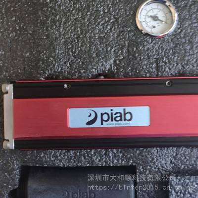 PIAB ǲ ˮ P6010.AS.01.LA.52 ձ ˮ