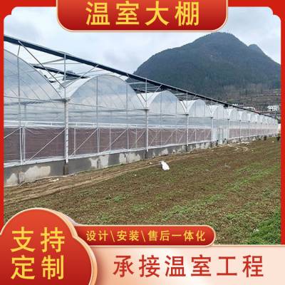 岳阳云溪 圆弧温室种植 草莓栽培大棚 中科ZKYX-03