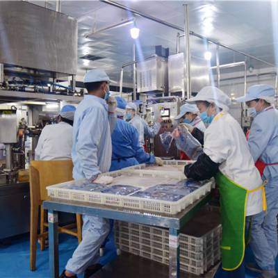 火锅底料生产厂家-火锅底料-盛世麒麟(查看)