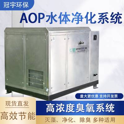 游泳池水消毒用冠宇牌AOP翔基自由基消毒器