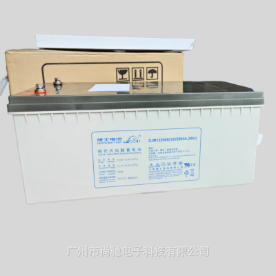 ʿDJM12200S/12V200AHֱ UPSԴ ݻ 