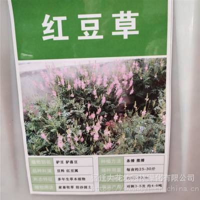 优质新牧草种子 红豆草种子 发芽*** 价格便宜 ***